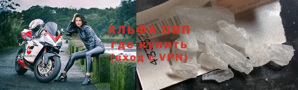 мяу мяу мука Баксан