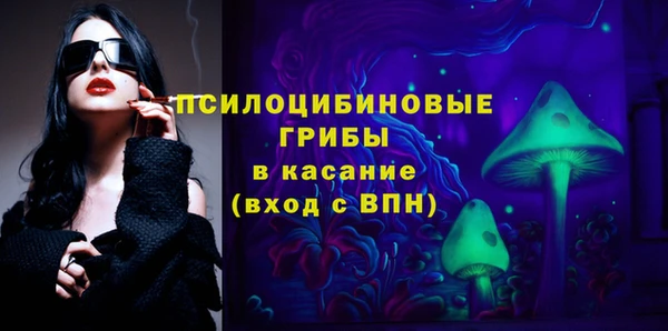 гидра Снежногорск